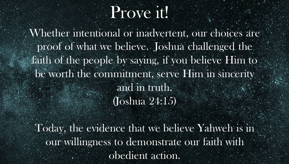 DWB excerpt_prove it